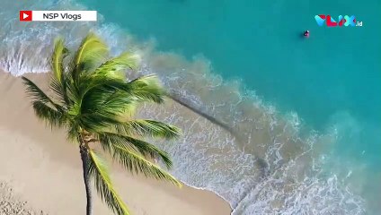 Dikeker Pemerintah, Bali Larang Pesta Tahun Baru 2021