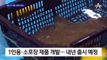 코로나 시대 ‘제주 광어의 변신’…2시간 만에 서울 식탁에