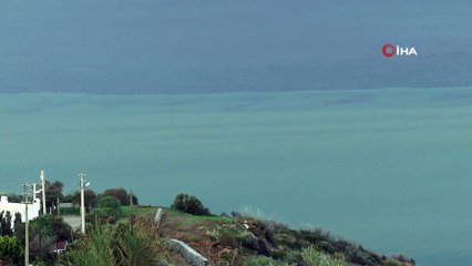 Bodrum’da denizin rengi değişti