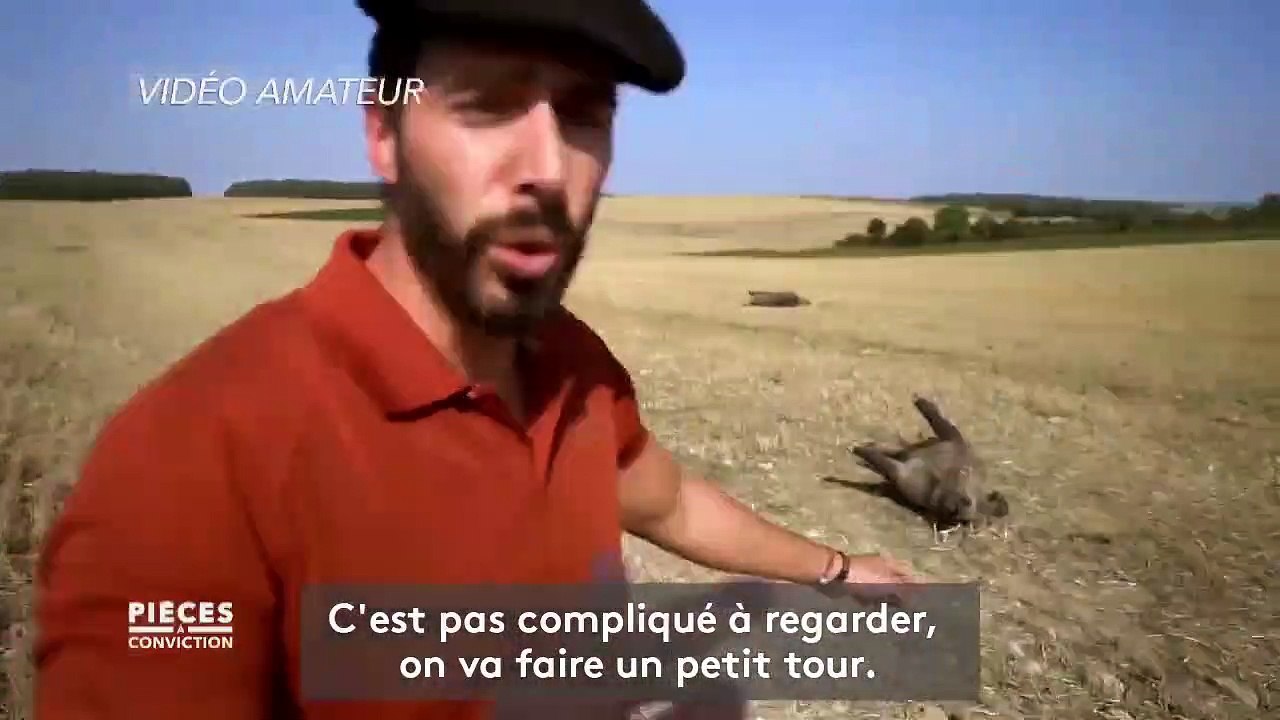 "S'ils veulent jouer aux cons, ils auront la guerre" : les sangliers sèment la discorde entre les agriculteurs et les chasseurs des Vosges