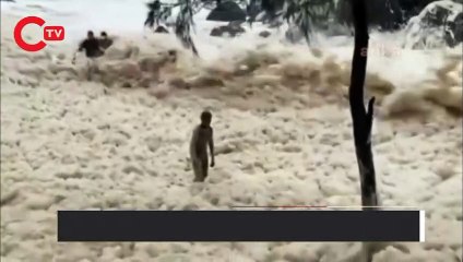 Sahiller ve plajlar deniz köpüğü ile doldu