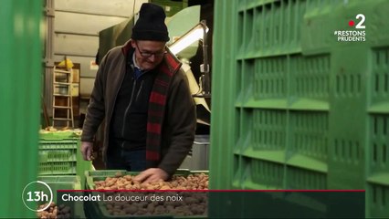 Isère : quand la noix de Grenoble s’invite chez les chocolatiers