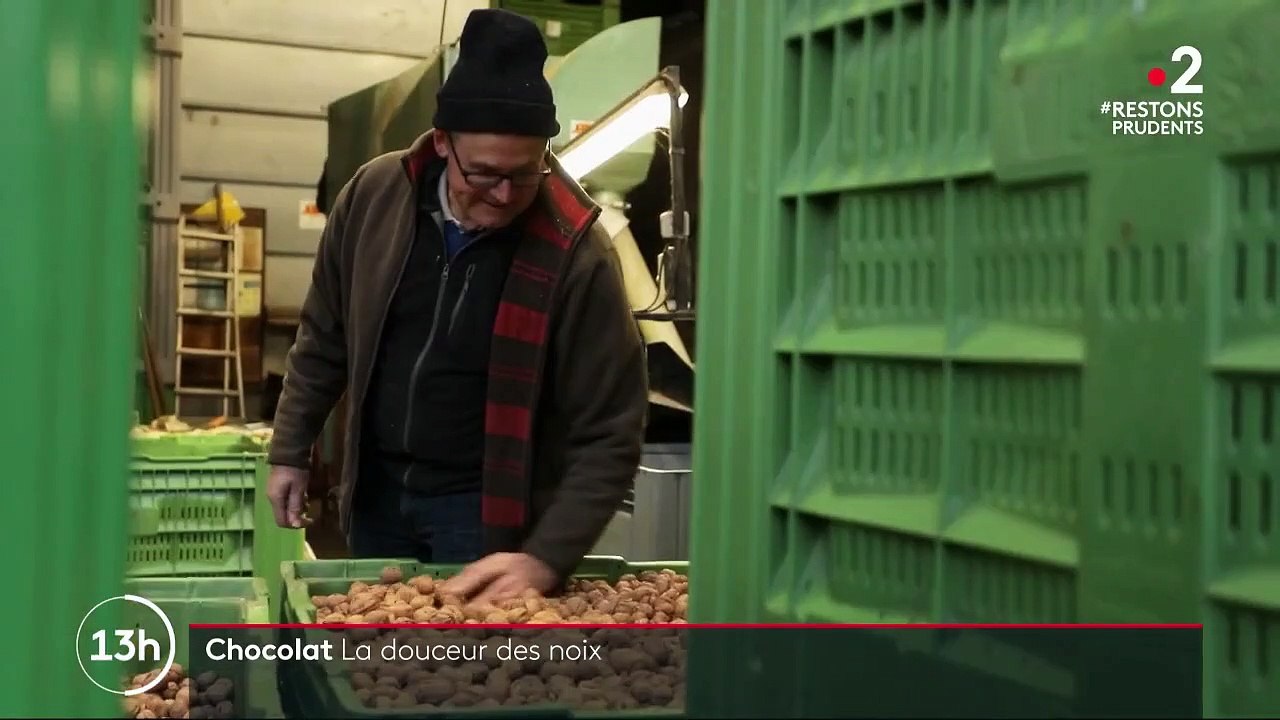 Isère : quand la noix de Grenoble s’invite chez les chocolatiers