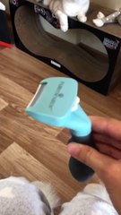 Kitty Wears Hats Made From Its Own Fur