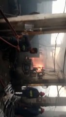 Rapid Response By Madadgar-15