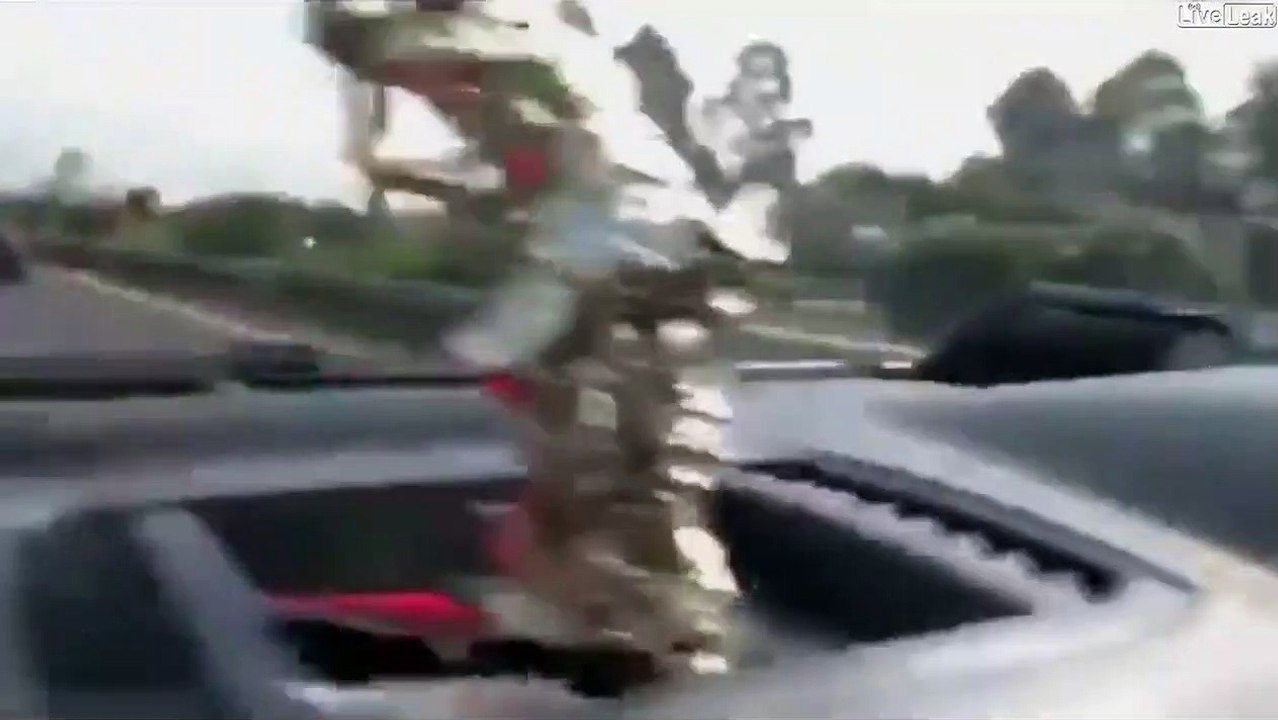 Il fait un tour de moto avec son poulet comme passager