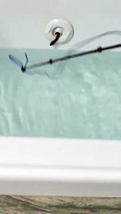 Regardez ce qui se cachait dans les trous de la balnéo de cette baignoire... petit serpent