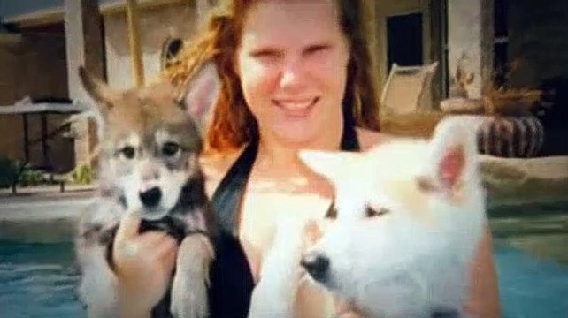 The Dog Whisperer S07E04 Wolf-Dogs - Out Of The Wild