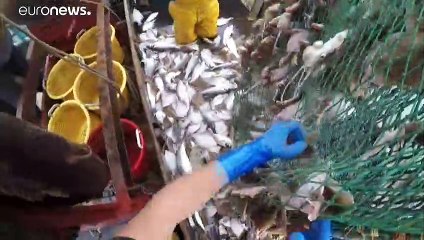 L'UE doit s'accorder sur les quotas de pêche pour 2021
