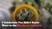 5 Celebrities You Didn’t Know Were in the Marijuana Industry