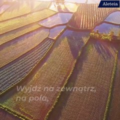 „Myśl o całym pięknie, które rośnie w tobie”. Inspirujące słowa Anny Frank