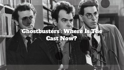 'Ghostbusters': Where Is The Cast Now?