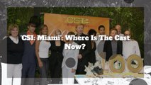 'CSI: Miami': What Is The Cast Doing Now?