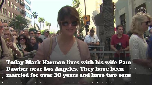 'NCIS' Actor Mark Harmon: Private Facts About The Star