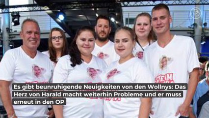 Descargar video: Schock bei den Wollnys: Harald muss operiert werden