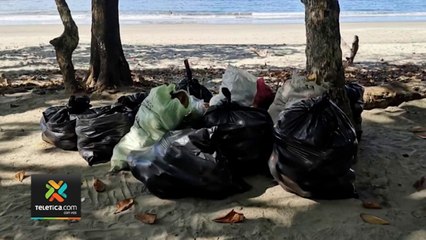 tn7-limpiathon-celebra-primer-aniversario-151220