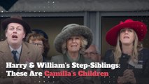 Harry & William's Step-Siblings: These Are Camilla's Children