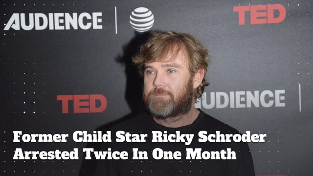 Former Child Star Ricky Schroder Arrested For Suspected Domestic Violence