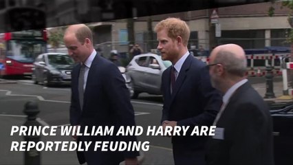 Prince William and Prince Harry Are Reportedly Feuding