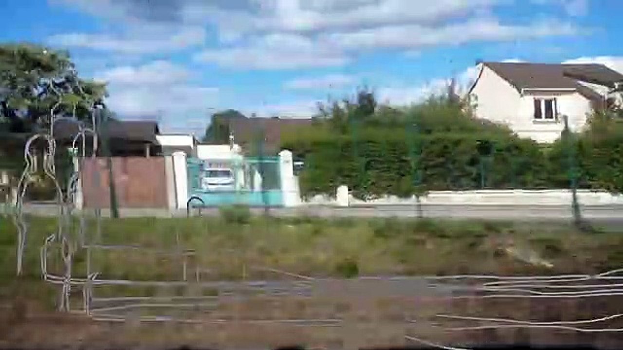 silhouettes.mp4