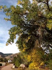 You'll Crawl Your Whole Life If You're Afraid To Fall!