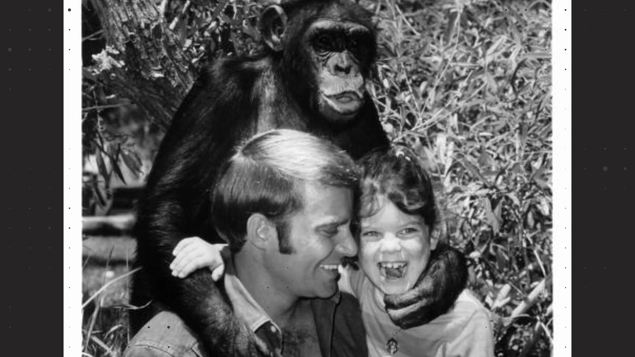 „Daktari“: Das wurde aus den Darstellern