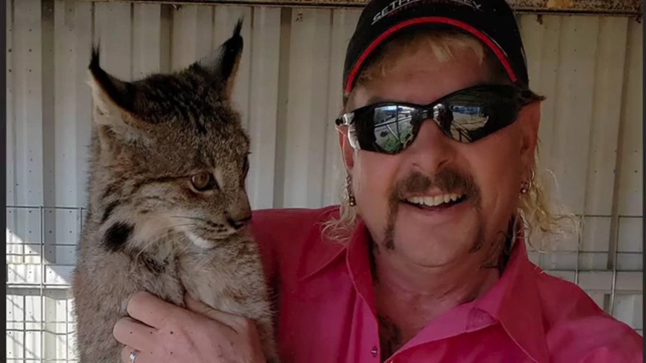„Tiger King“: Über diese Show spricht derzeit jeder