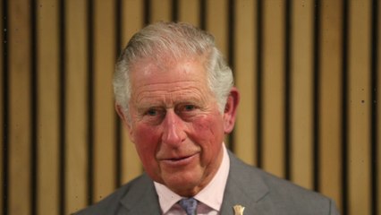 Prinz Charles beendet Quarantäne