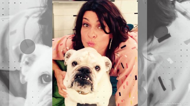 „Frühstücksfernsehen“-Lotte tot: Stars trauern um Hund