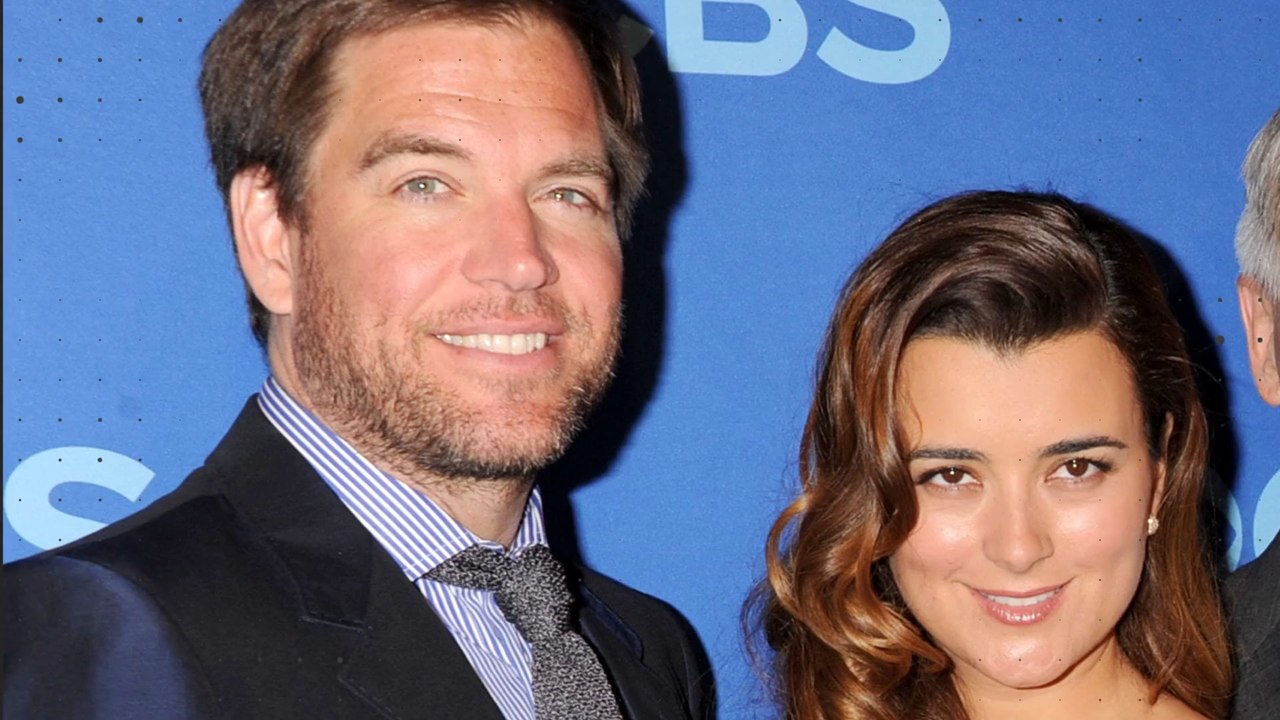 Wurde hiermit die NCIS-Reunion von „Ziva“ und „Tony“ bestätigt?