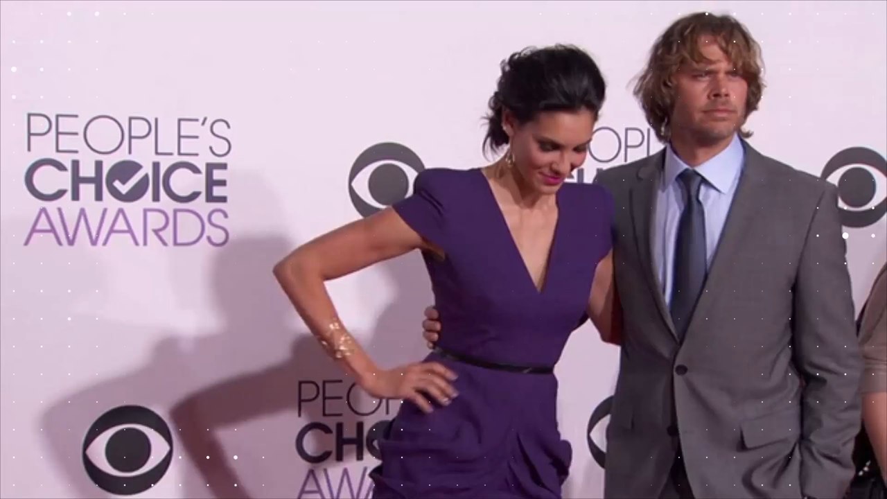 „Navy CIS: L.A.“: Das sind die Partner der Stars