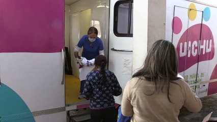 Testimonio de Silvia Domínguez, vecina de Santiago Undameo, Michoacán sobre servicios de "Uichu"