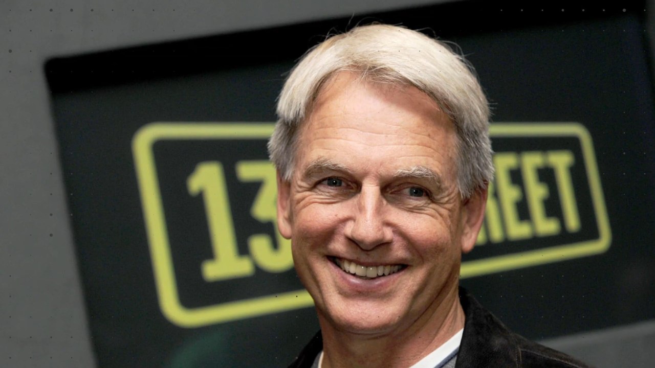 NCIS-Star Mark Harmon: Private Fakten über den Schauspieler