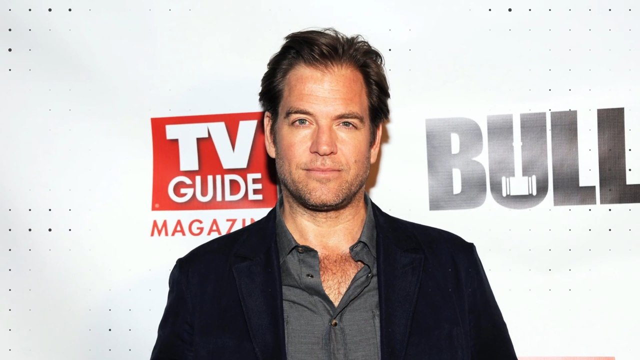 Das hat Michael Weatherly vor NCIS gemacht