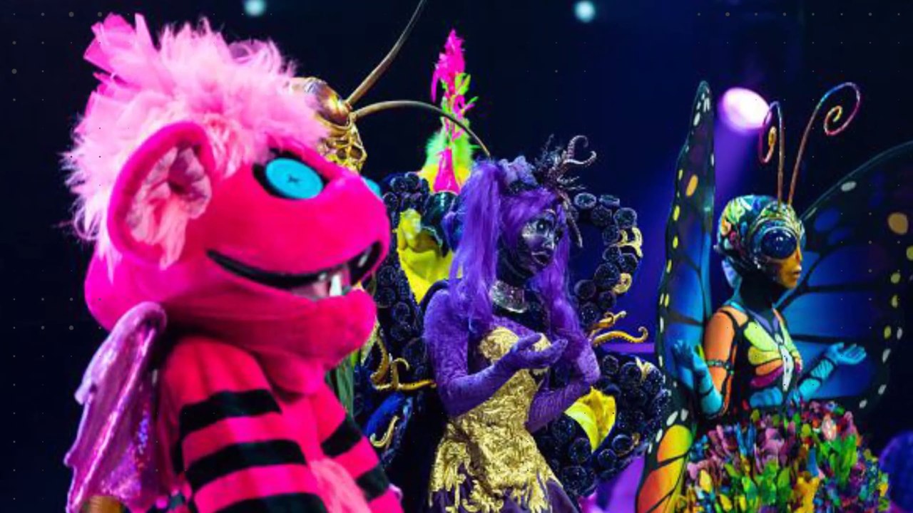 Spannende Fakten über „The Masked Singer“