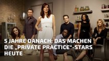 6 Jahre danach: Das machen die „Private Practice“-Stars heute