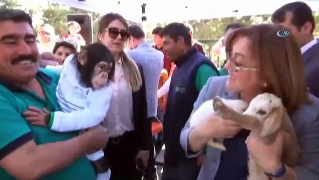 Kıskanç maymun Fatma Şahin'e saldırdı