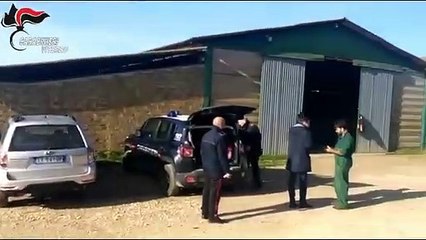 Ischia di Castro (VT) - Caporalato ed estorsione, arrestata intera famiglia (15.12.20)