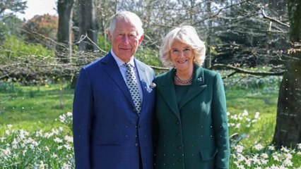 Verrückte Tatsachen über Charles’ und Camillas Ehe, die jeder ignoriert