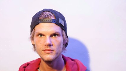 Aviciis Familie gründet Stiftung in seinem Namen