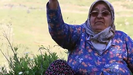 Hataylı Teyze: Tayyip Erdoğan sağolsun