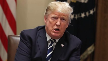 Arnold Schwarzenegger über Donald Trump: „Wie eine kleine, nasse Nudel“