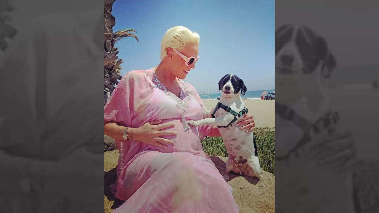 Brigitte Nielsen: Neue Babybauch Fotos