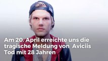 Aviciis Familie und Freunde geben erste Statements ab