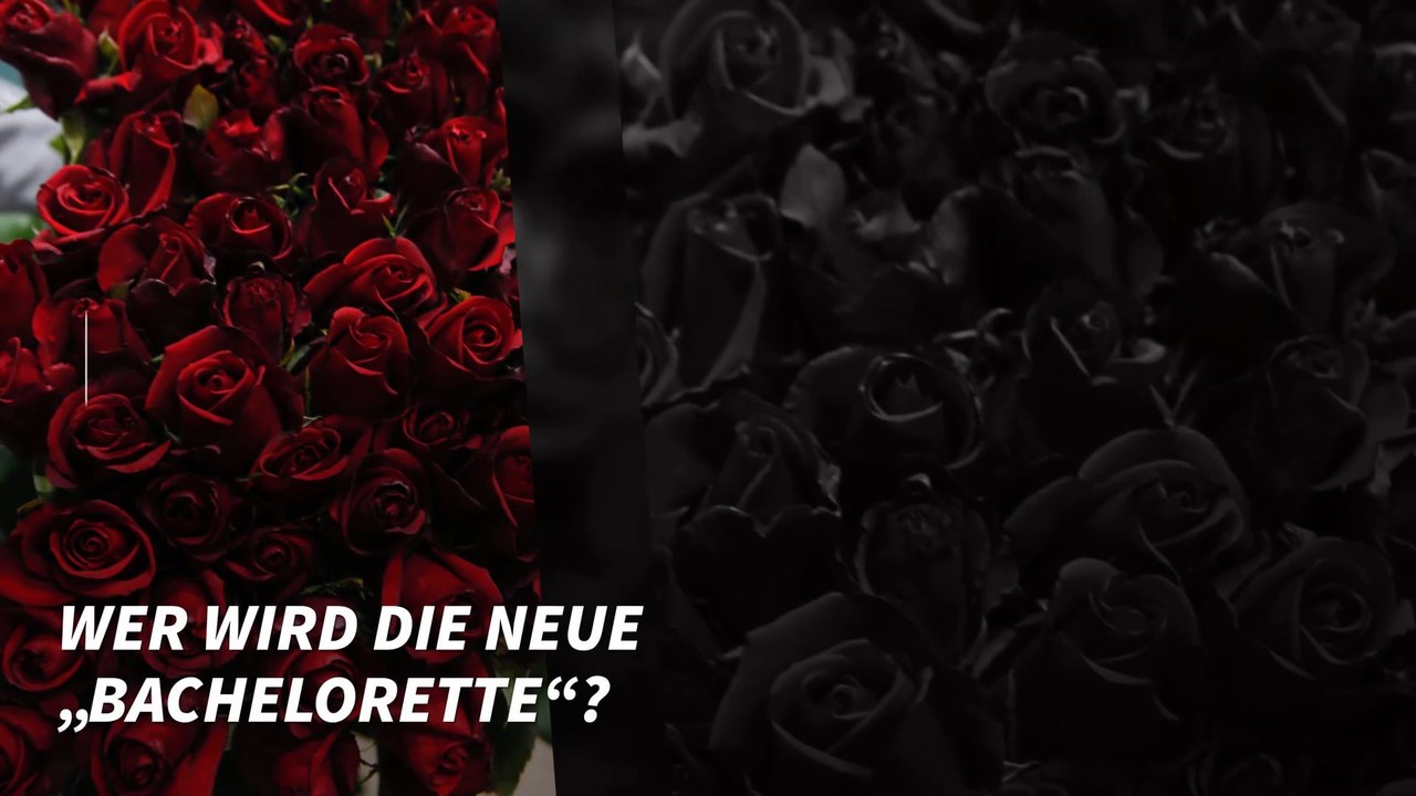 Wer wird die neue „Bachelorette“ 2018?