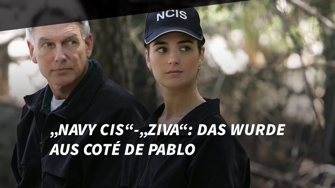 „Navy CIS“-„Ziva“: Was wurde aus Coté de Pablo