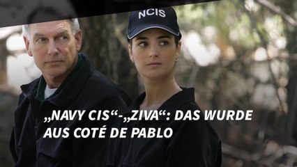 „Navy CIS“-„Ziva“: Was wurde aus Coté de Pablo