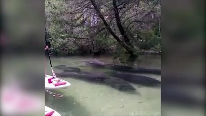 Bu manzara karşısında küçük bir panik atak geçirebilirsiniz