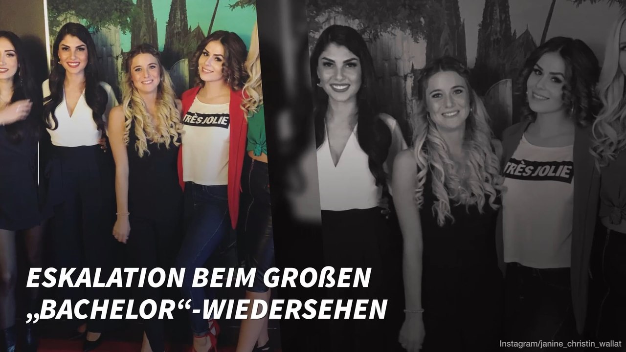 Eskalation beim großen „Bachelor“-Wiedersehen