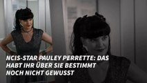 NCIS-Star Pauley Perrette: DAS habt ihr über sie bestimmt noch nicht gewusst